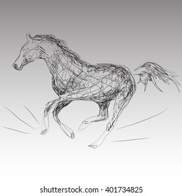 vector illustration horse in the style of hand drawn on the gray background