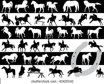 Vector illustration of horses over black and white