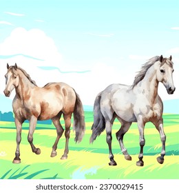  vector illustration of horses in the pasture