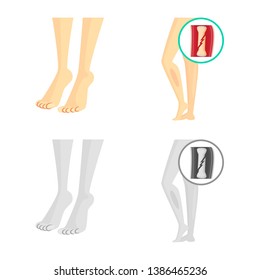 Vector illustration of hospital and rendering symbol. Collection of hospital and help vector icon for stock.