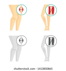 Vector illustration of hospital and rendering symbol. Set of hospital and help stock symbol for web.