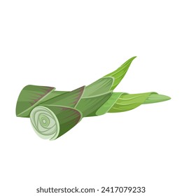 Ilustración vectorial, brotes de Hosta, brotes comestibles de Hosta Clusa, aislados en fondo blanco.