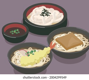 vector illustration of hot and cold udon noodles