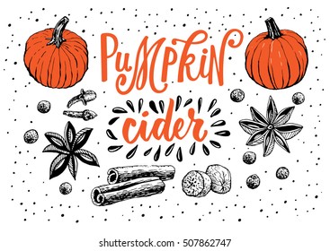 Vector illustration with hot drink pumpkin cider. Hand drawn pumpkin and space ingredients. Hand lettering calligraphy.