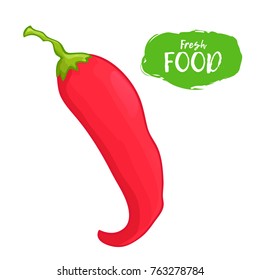 Vector illustration of hot pepper. Sketch, color. Vivid picture of a vegetable. 