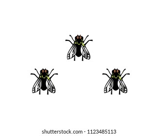 Vector illustration house fly insect black fly isolated on white background.