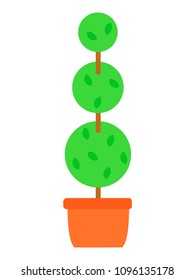 Vector illustration of a House Plant