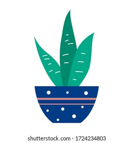 Vector illustration of house plant. Vector aloe plant. Aloe in pot.