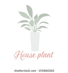 Vector illustration with house plant isolated on white background. Potted houseplant. Green natural decor for home and interior. Trendy background. Flat style. Design for card, banner, poster, print.