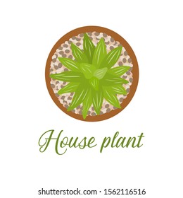 Vector illustration with house plant isolated on white background. Potted houseplant. Green natural decor for home and interior. Trendy background. Flat style. Design for card, banner, poster, print.