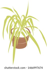 Vector illustration of a house plant in a pot, cozy interior, trendy eco-design