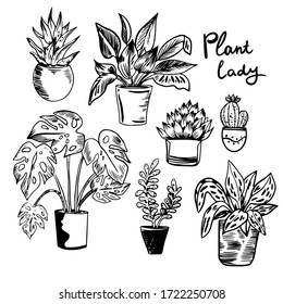 Vector illustration  with house plants in pots in black and white colors. Perfect for poster, postcard, print and etc.