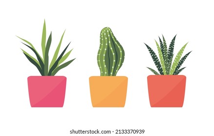 Ilustración vectorial de las plantas de la casa. Fijado en estilo plano. Cactus, aloe en una olla. Plantas en ollas. Elementos de diseño
