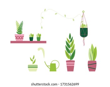 Vector illustration with house plants and watering can isolated on white background. Set of plants for poster print, web, flyers.