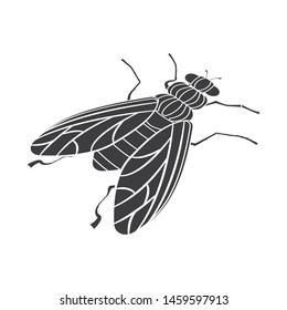 Vector illustration of housefly and pest symbol. Collection of housefly and bug stock symbol for web.