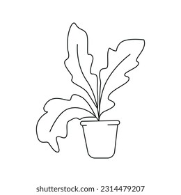 Vector illustration of houseplant in doodle style. Isolated on white background