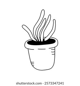 Vector illustration of a houseplant in the doodle style. Isolate on a white background