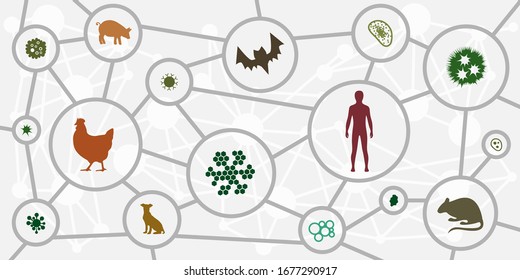 Vector Illustration Of Human And Animal Symbols For Virus Genetic Research And Vaccine Invention