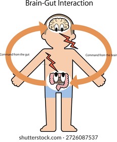 Ilustração vetorial do corpo humano e diagrama de correlação do intestino cerebral