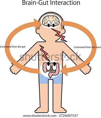 Vector illustration of human body and brain gut correlation diagram