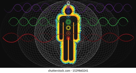 vector illustration of human body with chakra energetic centers and biorhythm waves or DNA chain