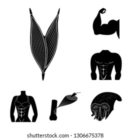 Vector illustration of human and body  icon. Collection of human and cells stock vector illustration.