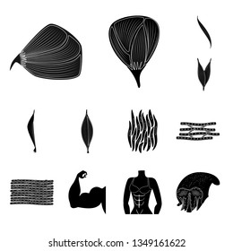 Vector illustration of human and body  icon. Set of human and cells vector icon for stock.