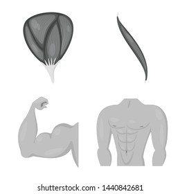 Vector illustration of human and body icon. Collection of human and cells stock symbol for web.