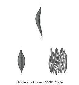 Vector illustration of human and body icon. Collection of human and cells vector icon for stock.