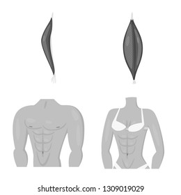 Vector illustration of human and body logo. Set of human and cells stock symbol for web.