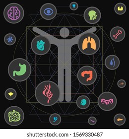 vector illustration of human body and neon bright organs symbols on dark background