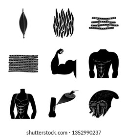 Vector illustration of human and body  sign. Set of human and cells stock vector illustration.