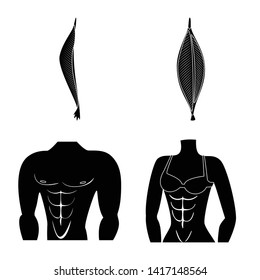 Vector illustration of human and body  symbol. Set of human and cells stock symbol for web.