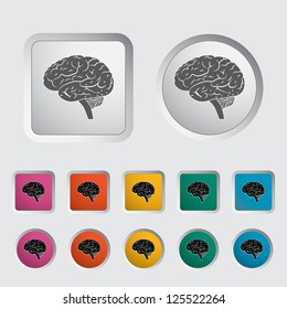 Vector illustration of a human brain.