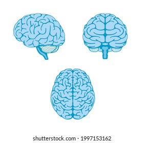 Vector illustration of human brain ( 3 angles set )