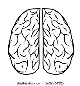 vector illustration. Human brain. Black and white silhouette.