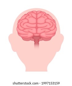 Vector illustration of human brain ( front view)