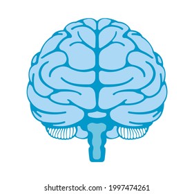 Ilustración vectorial del cerebro humano (vista frontal)