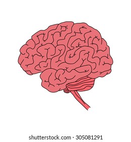 Vector illustration of human brain isolated on white background for medical design or idea of logo