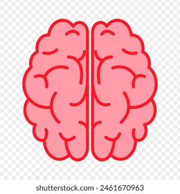 Vector illustration of human brain on transparent background