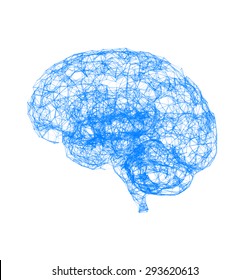 Vector illustration of human brain on white background