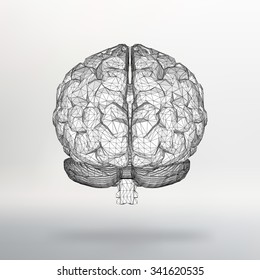 Vector illustration human brain. The structural grid of polygons. Abstract Creative concept vector background. Molecular lattice. Polygonal design style letterhead and brochure