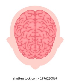 Vector illustration of human brain ( View from above )