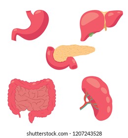 Vector Illustration Human Digestive System Vector Stock Vector (Royalty ...