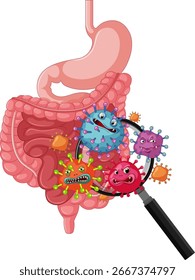 Ilustración vectorial del sistema digestivo humano con bacterias de dibujos animados magnificadas por una lente, utilizando colores brillantes y una composición limpia de estilo médico