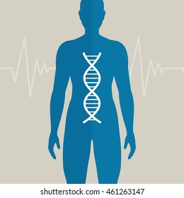 Vector Illustration of Human DNA