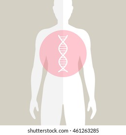 Vector Illustration of Human DNA