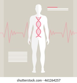 Vector Illustration of Human DNA