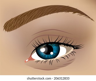 Vector illustration of human eye closeup