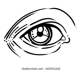 Vector illustration of human eye in engraved style. Hand drawing atrwork in black isolated on white.